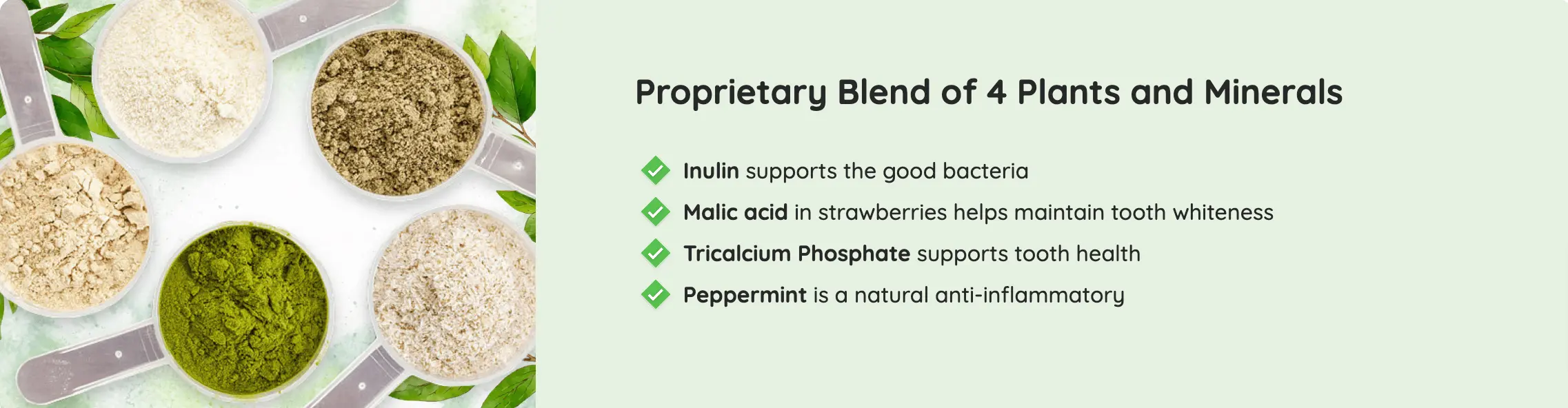 prodentim-ingredients